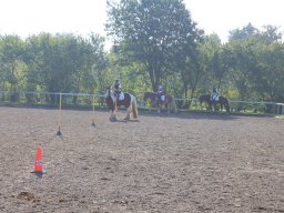 img_0243_web